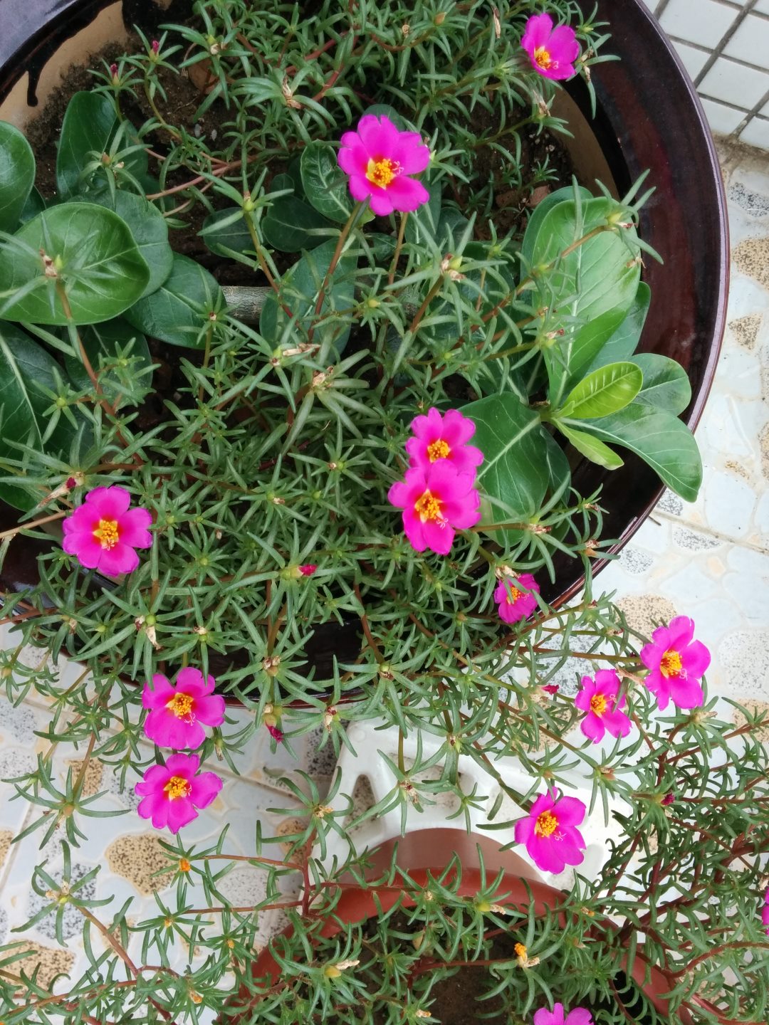 IMG 2014-07-11 13-33-52